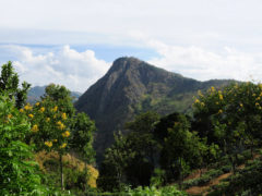 Ella Rock Sri Lanka