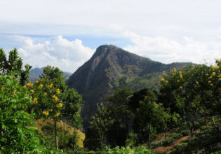 Ella Rock Sri Lanka