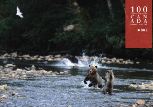 Float alongside grizzlies at the Great Bear Lodge