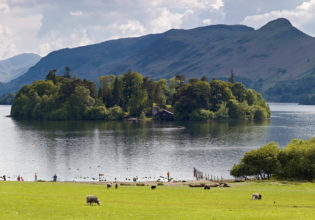 wildlife adventure woodlands water lake nature flora fauna