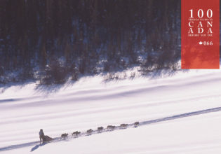Watch amazing husky sledding at the mighty Yukon Quest