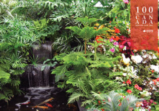 Tiptoe through the tulips at Canada’s Butchart Gardens