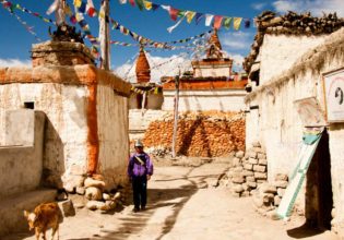 Nepal mustang history