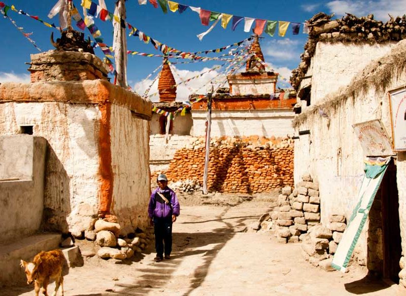 Nepal mustang history