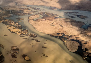 What to expect on an exhilirating New Orleans swamp tour