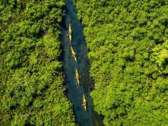 kayaking Asaga Mangroves, things to do in Samoa