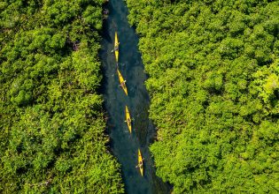 kayaking Asaga Mangroves, things to do in Samoa