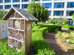 Bee Hotel Vancouver