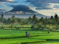 How to spend 48 hours in Canggu, Bali