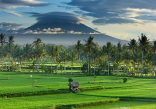 How to spend 48 hours in Canggu, Bali