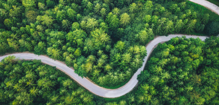 How to be a conscious traveller