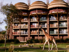 Disney Animal Kingdom Lodge