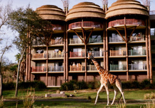 Disney Animal Kingdom Lodge