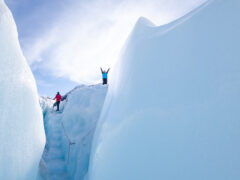 hikers at the top of Fox Glacier, west coast new zealand