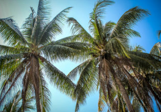 The Gambier Islands, French Polynesia.
