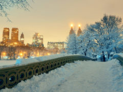 New York City Christmas