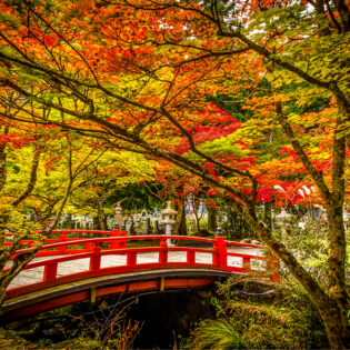 A red bridge in Mount Koya surrounded by autumn leaves