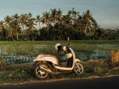 Crackdowns are coming for Bali’s top tourist activity