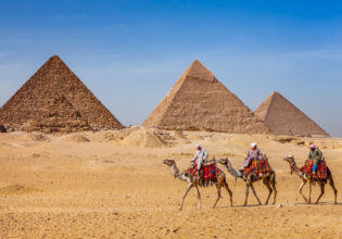 Bedouins riding on camels at The Great Pyramid of Giza in Egypt