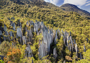 The ultimate Gunung Mulu National Park travel guide