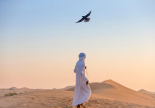 Falconry remains a traditional Emirati sport.