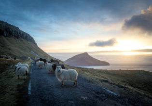 Faroe Islands Landscape