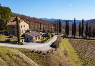 Le Miccine vineyards