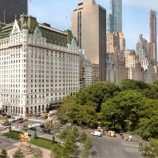 The Plaza view from Central Park