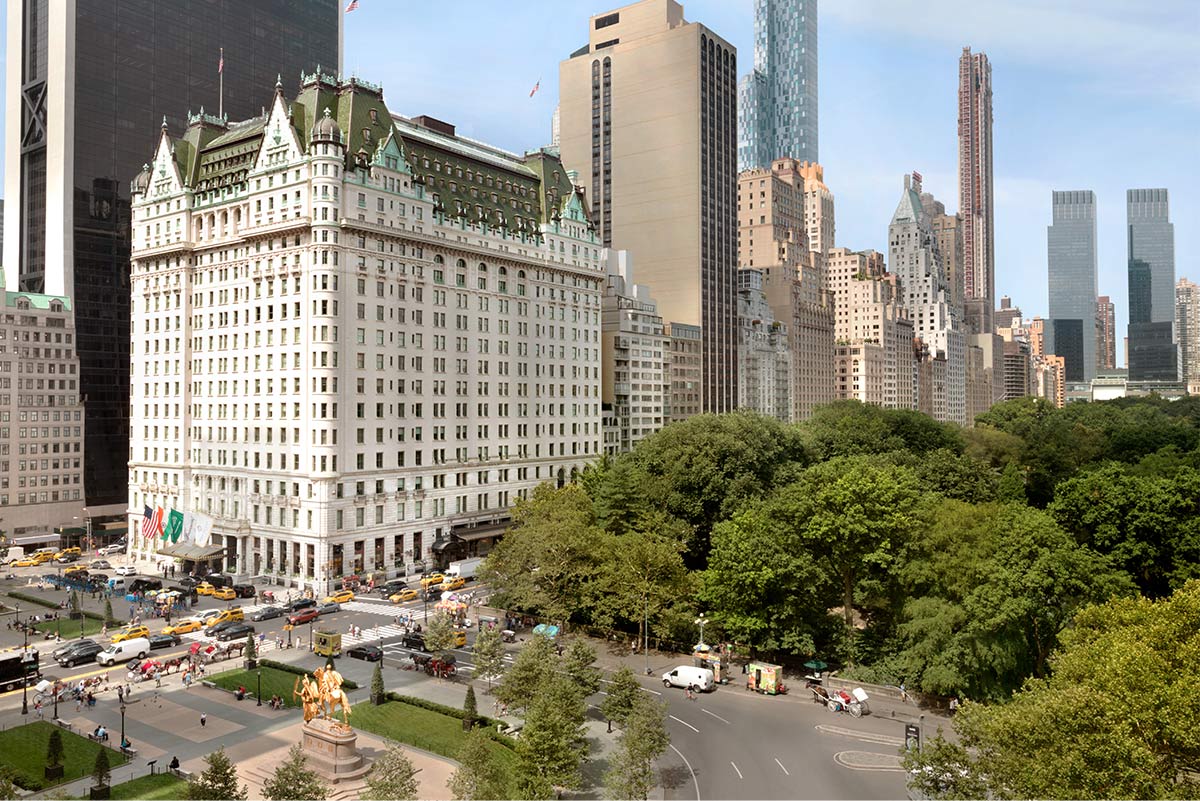 The Plaza view from Central Park