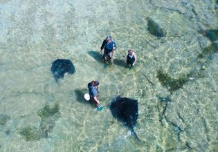 Experiences with the wow factor in New Zealand