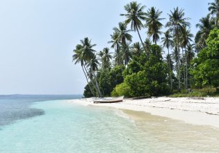 A palm-fringed beach at Sicsican Island, Balabac, Palawan, Philippines