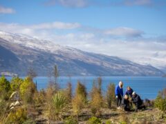 Whakatipu Reforestation Trust