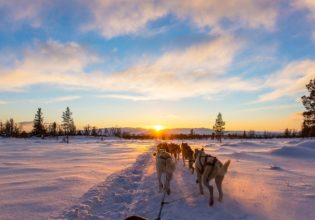 Dog sledding Churchill Canada