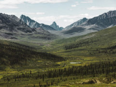 Tombstone Territorial Park its name