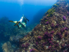 southern Thailand scuba diving snorkelling dive snorkel