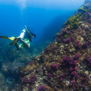 southern Thailand scuba diving snorkelling dive snorkel
