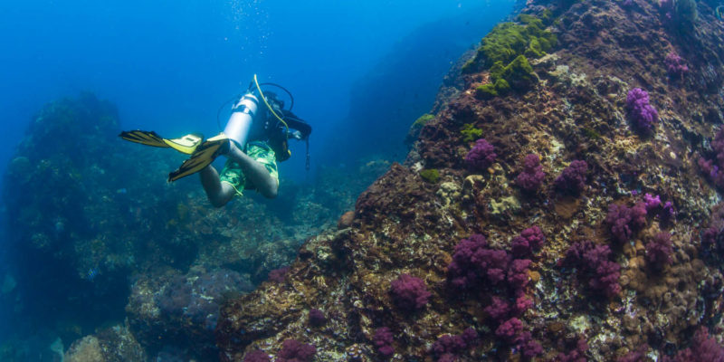 southern Thailand scuba diving snorkelling dive snorkel