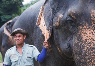 riding asian elephants hills Thailand ethics Khao Sok