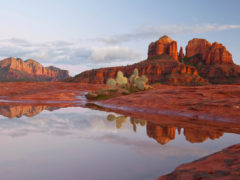 Where to eat, sleep, drink and play in Phoenix, Arizona