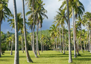 French Polynesia Travel Guide