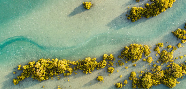 Oceania Travel Guide