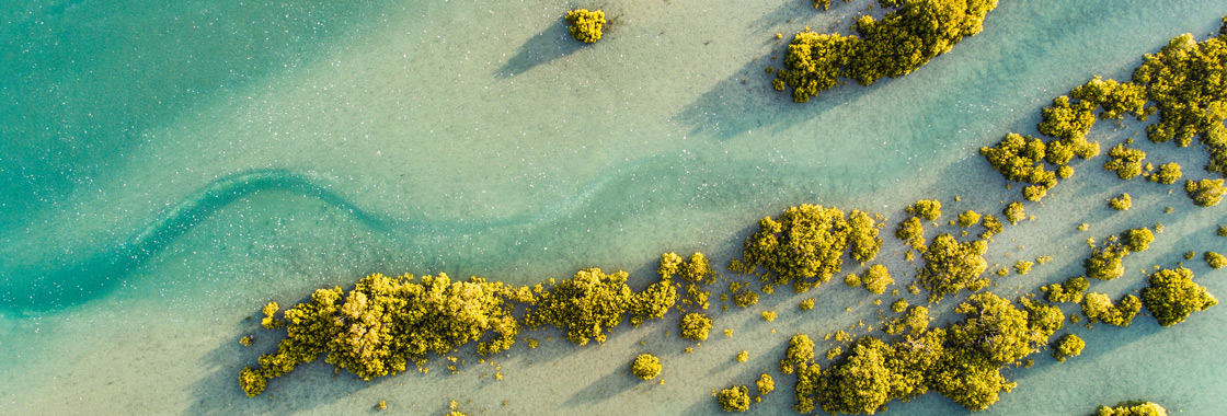 Oceania Travel Guide