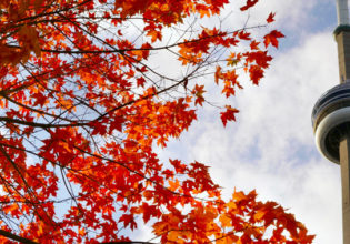 Ontario Travel Guide