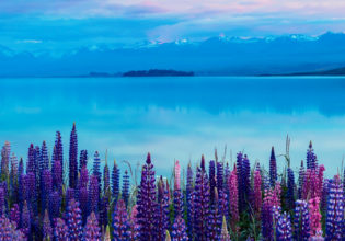 Lake Tekapo New Zealand