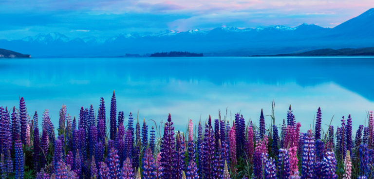 Lake Tekapo New Zealand