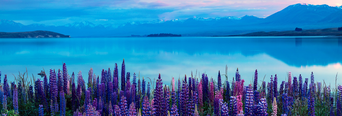 Lake Tekapo New Zealand