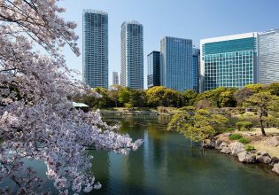 Hama-rikyu Gardens, Tokyo