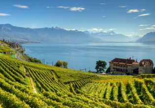 Lavaux Vineyard Terraces in Switzerland.