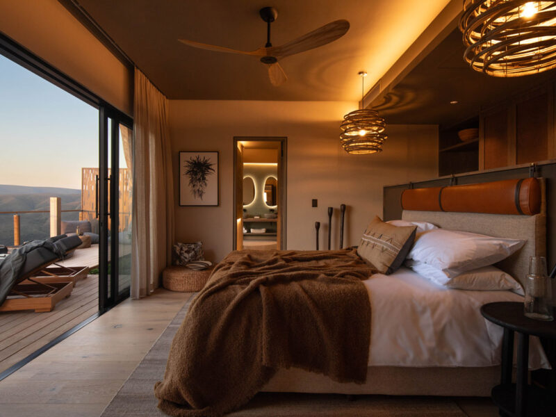 Mantis Hiddn in Addo, South Africa