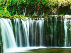 Shiraito Falls in the Shizuoka prefecture, Japan.